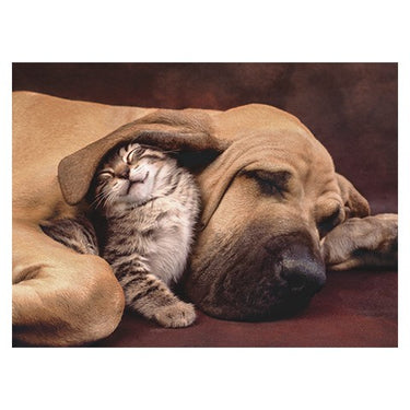 Puzzle HQ Cuddles - Banbury Arte